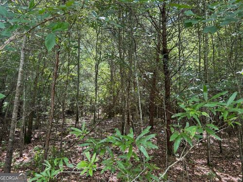 0 Meadow Ln, Talking Rock, GA, 30175 | Card Image