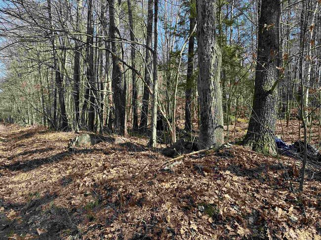 400 Manning Hill Rd, Home with 0 bedrooms, 0 bathrooms and null parking in Winchester NH | Image 5