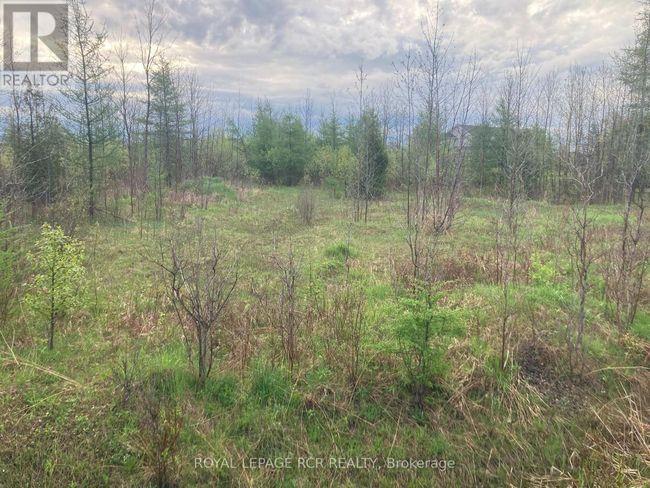 ptlot 8 Con 2, Home with 0 bedrooms, 0 bathrooms and null parking in Amaranth ON | Image 11