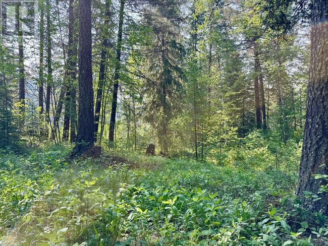 Lot 43 Rainbow Cres, Home with 0 bedrooms, 0 bathrooms and null parking in Canim Lake BC | Image 9