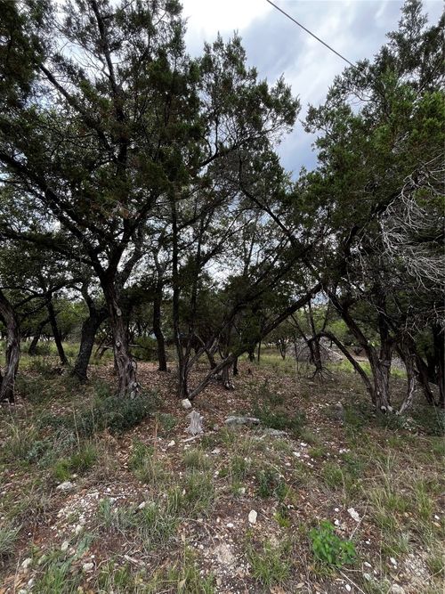 21508 Mount View Dr, Lago Vista, TX, 78645-6533 | Card Image