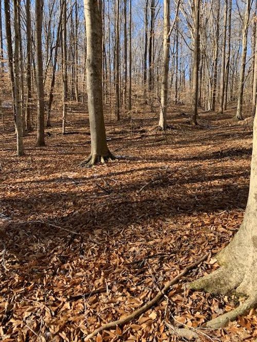 604 Meadow Creek Rd, WINGINA, VA, 24599 | Card Image