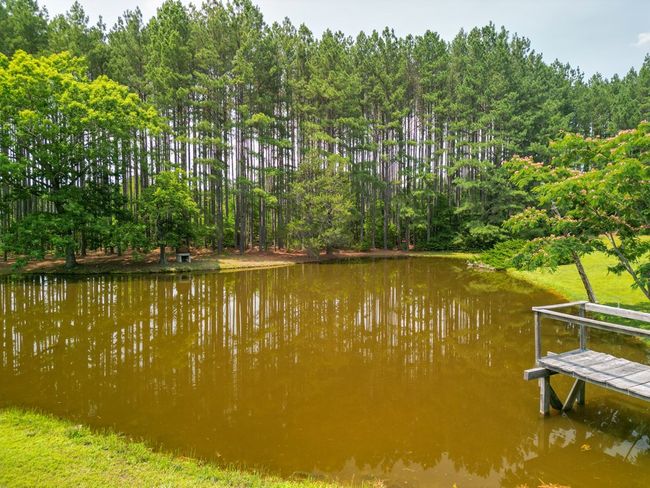 967 Ampthill Rd, House other with 3 bedrooms, 2 bathrooms and null parking in Cartersville VA | Image 32