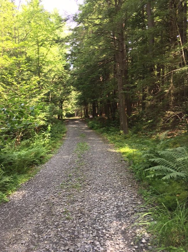 1 - 0 Old Ledge Road, Home with 0 bedrooms, 0 bathrooms and null parking in Westminster VT | Image 4