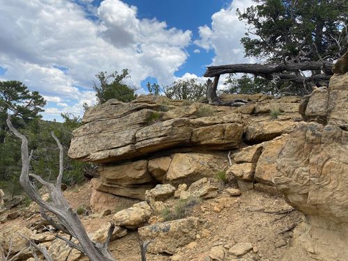 Lot 2 Jubilee Trl, Ramah, NM, 87357 | Card Image