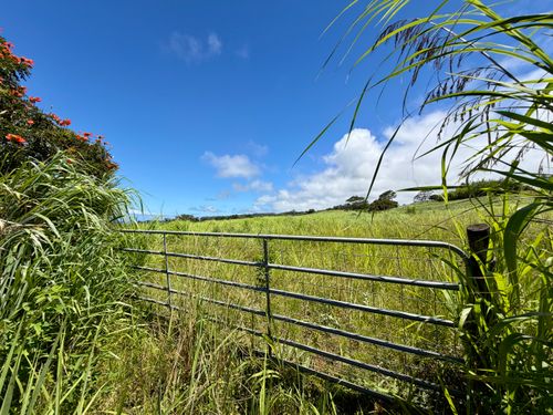 32-195 Piha Kahuku Rd, Papaaloa, HI, 96780 | Card Image