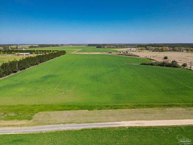 5872 S Highway 99, Home with 0 bedrooms, 0 bathrooms and null parking in Mc David FL | Image 5