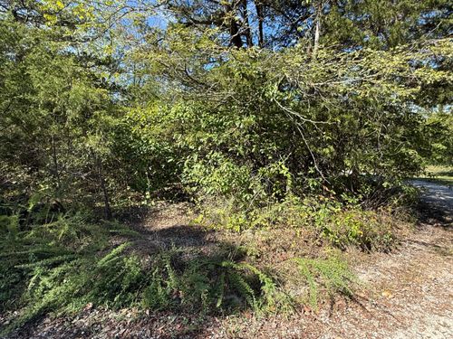 Lot 23 Daisy Ln, Lampe, MO, 65681-7445 | Card Image