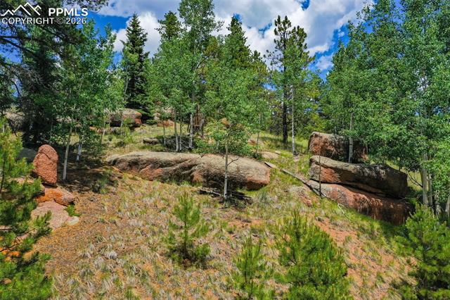 Land in Florissant 4