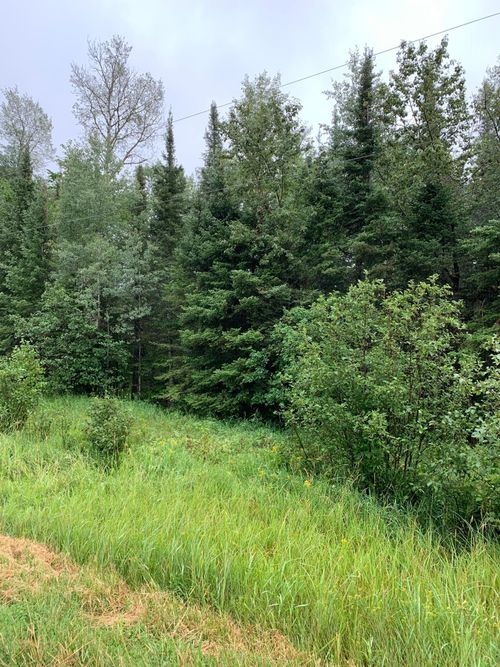 XXX Town Line Road, Forbes, MN, 55738 | Card Image