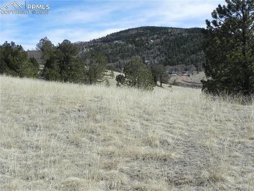 1087 Monarch Drive, Cripple Creek, CO, 80813 | Card Image