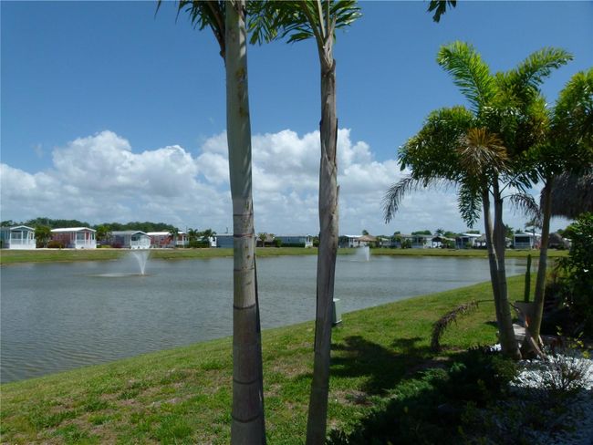Pond | Image 4