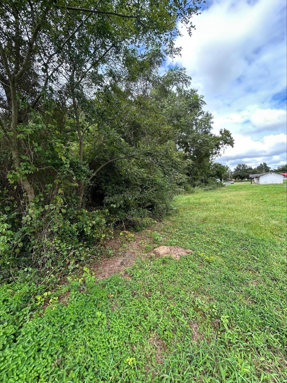 Land in Summerton 3