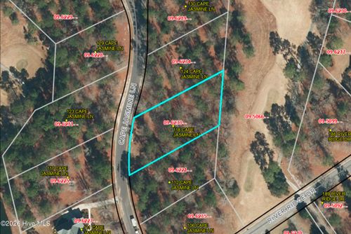 118 Cape Jasmine Ln, Wallace, NC, 28466-2405 | Card Image