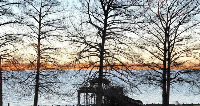 2524 Lakeshore Dr N, House other with 3 bedrooms, 2 bathrooms and null parking in Lake Village AR | Image 5