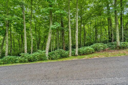 Lot 408 Tbd Firethorn Trail, Blowing Rock, NC, 28605 | Card Image