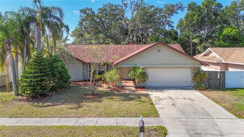 1623 Carter Oaks Dr, VALRICO, FL, 33596-6128 | Card Image