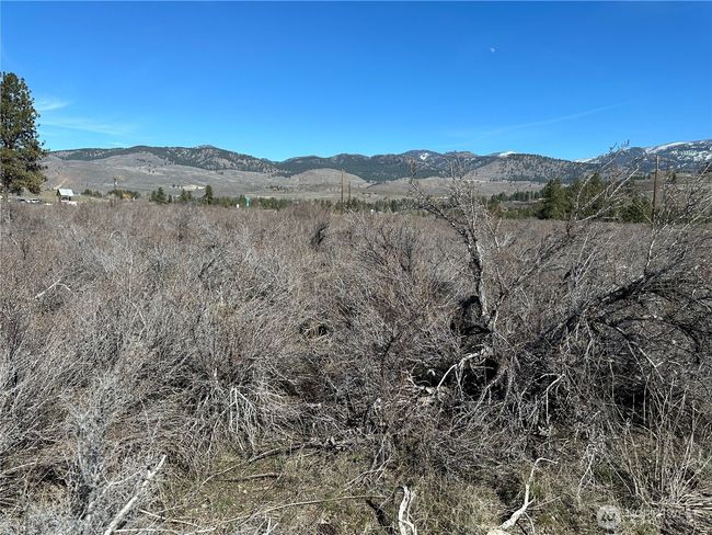81 W Chewuch Rd, Home with 0 bedrooms, 0 bathrooms and null parking in Winthrop WA | Image 6