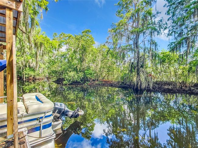 3175 N Wheaton Pt, House other with 3 bedrooms, 3 bathrooms and null parking in Hernando FL | Image 66
