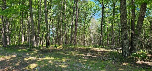 0 Bluffview Dr, Dunlap, TN, 37327 | Card Image