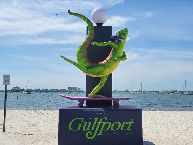 GULFPORT GECKO | Image 64