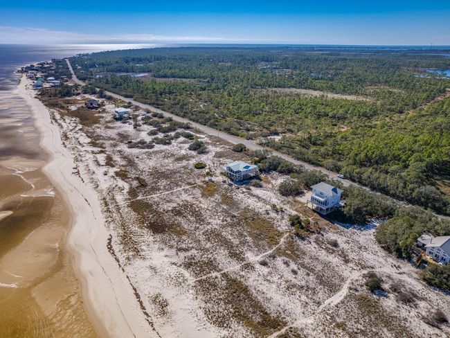 774 Bald Point Rd, House other with 3 bedrooms, 3 bathrooms and null parking in Alligator Point FL | Image 34