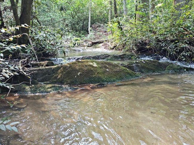 Lot 3 Megan Trace Ln, Home with 0 bedrooms, 0 bathrooms and null parking in Turtletown TN | Image 15