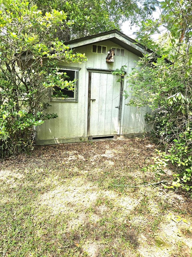 12 | Image 6