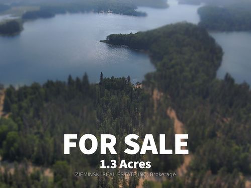 Lot 6 Plan 6m499, North Munro Lake Road, Black River Matheson, ON, P0K1N0 | Card Image