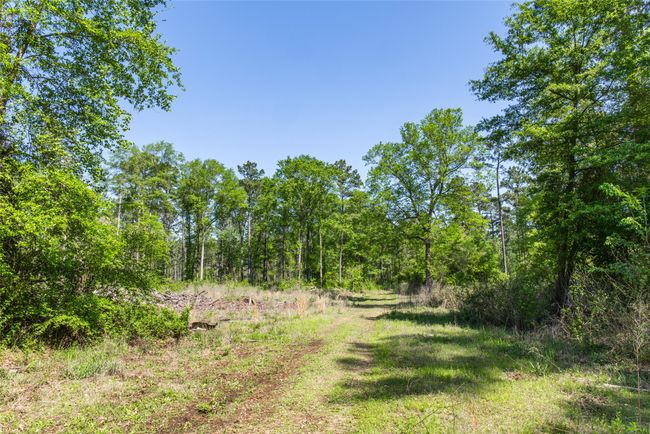 1 County Rd, Home with 0 bedrooms, 0 bathrooms and null parking in Leesburg TX | Image 18