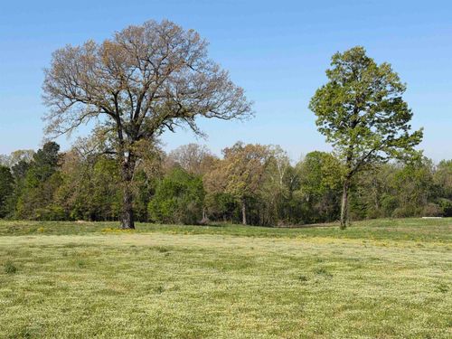 0A Burnette Rd, Williston, TN, 38076 | Card Image