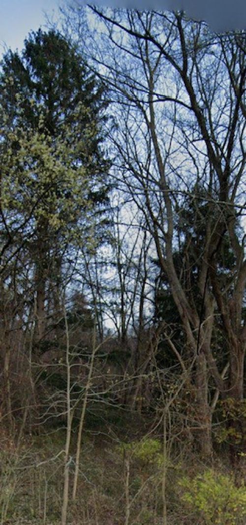 286 W Golden Mile Hwy, Plum Boro, PA, 15239 | Card Image