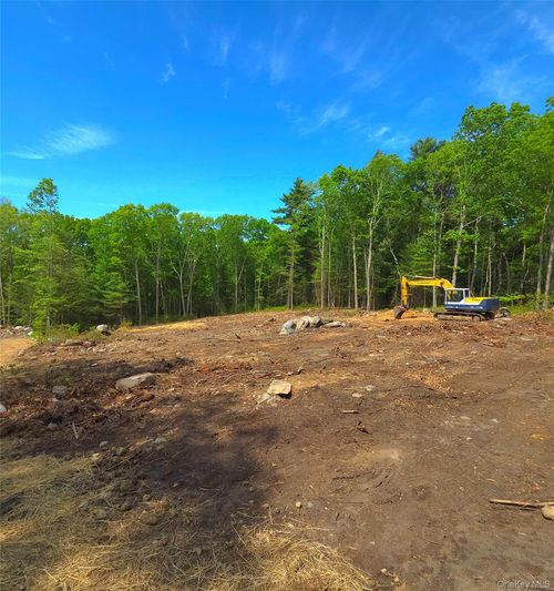 1027 Pine Kill, Mamakating, NY, 12790 | Card Image