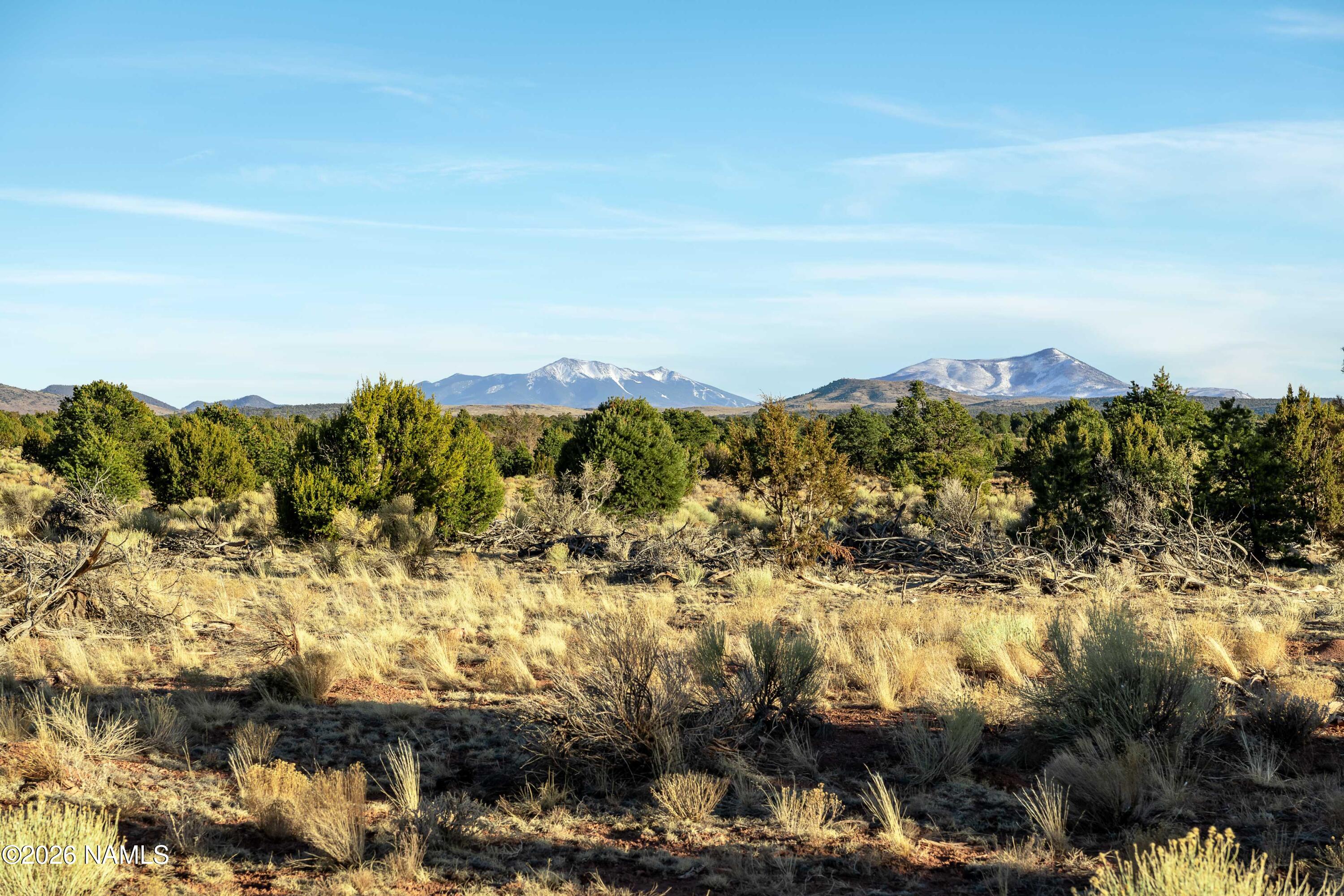 Land in Seligman 3