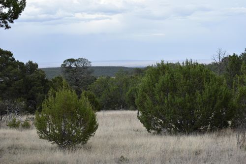 184 Sunlight Rd, Edgewood, NM, 87015 | Card Image