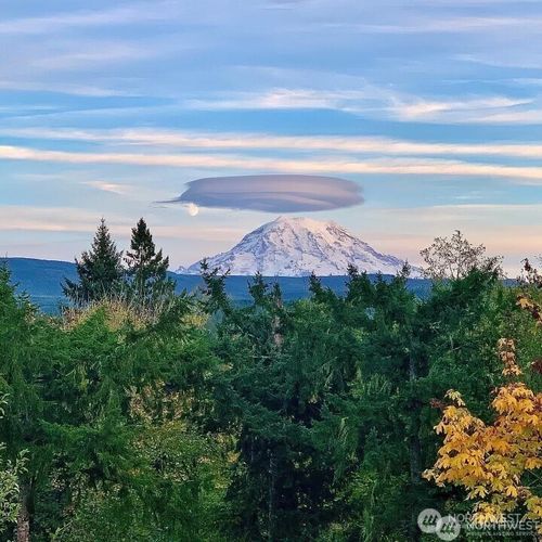 16619 249th St E, Orting, WA, 98360-9719 | Card Image