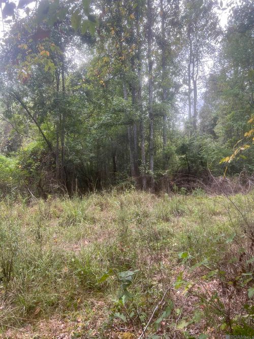 tract 1 Battle Rd, Ethel, LA, 70730 | Card Image