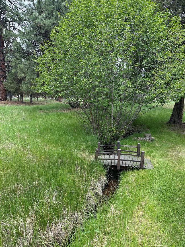 Drew Creek: foot bridge | Image 29