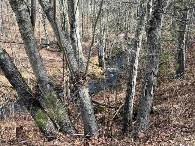 7 Lake Shore Dr, Home with 0 bedrooms, 0 bathrooms and null parking in Winchester NH | Image 11
