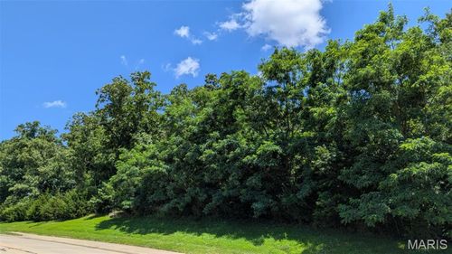 3.58 AC N Market Street, Warrenton, MO, 63383 | Card Image