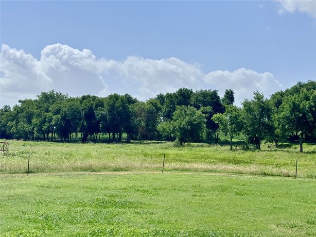 13801 Krause Rd, Home with 4 bedrooms, 3 bathrooms and 6 parking in Holland TX | Image 8