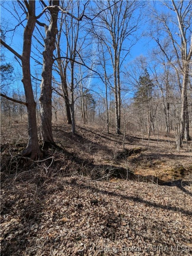 6140 N White River Rd, Home with 6 bedrooms, 2 bathrooms and null parking in Campbellsburg IN | Image 38