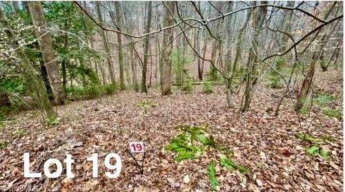Lot 19 Woods Haven Lane, Stuart, VA, 24171 | Card Image