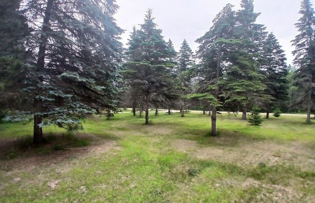 front yard.jpg | Image 9