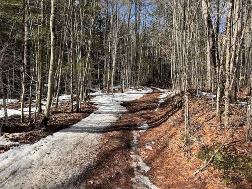 109 Butterfield Hill Rd, Westmoreland, NH, 03467-4208 | Card Image