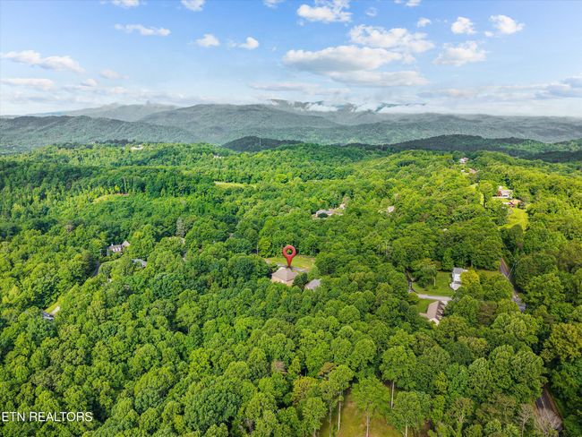211 Timberland Trail Ln, House other with 3 bedrooms, 2 bathrooms and null parking in Rocky Top TN | Image 41