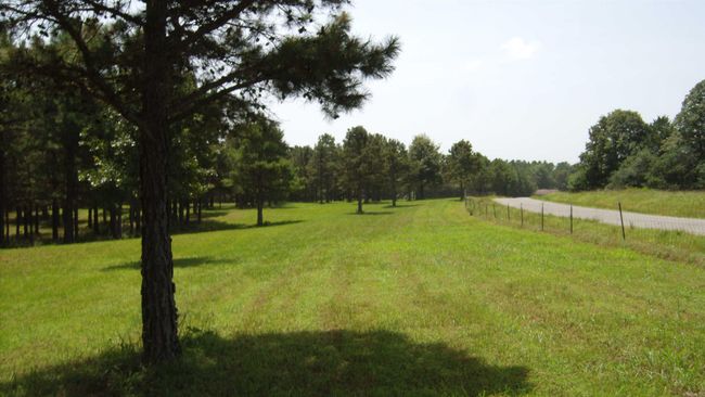 00 Morgan Rd, Home with 0 bedrooms, 0 bathrooms and null parking in Rose Bud AR | Image 9