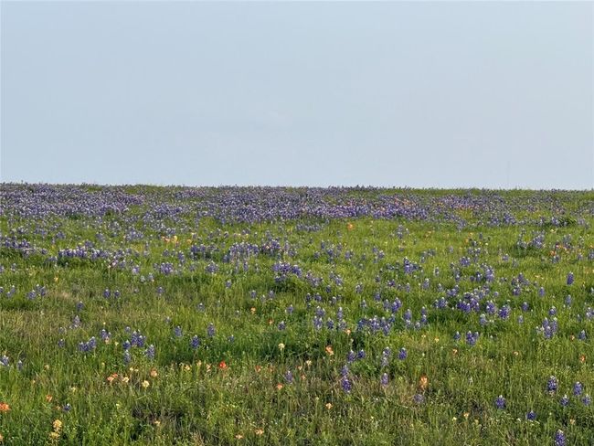 000 Krueger Rd, Home with 0 bedrooms, 0 bathrooms and null parking in Bleiblerville TX | Image 5