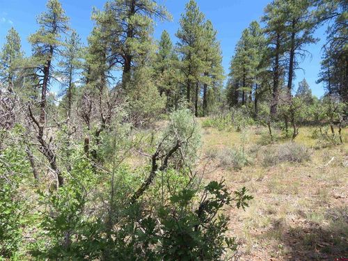 16 Crooked Rd, Pagosa Springs, CO, 81147-7340 | Card Image