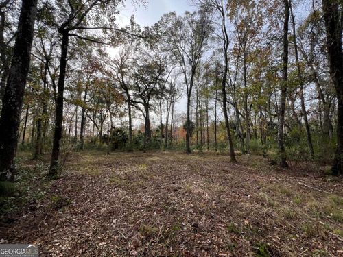 597 Salt Creek Way E, Brunswick, GA, 31523-7185 | Card Image